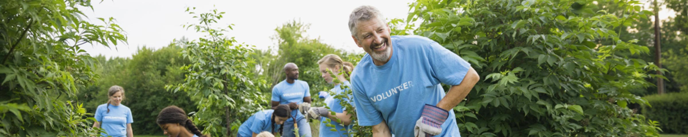 Male volunteer working at a gardening project